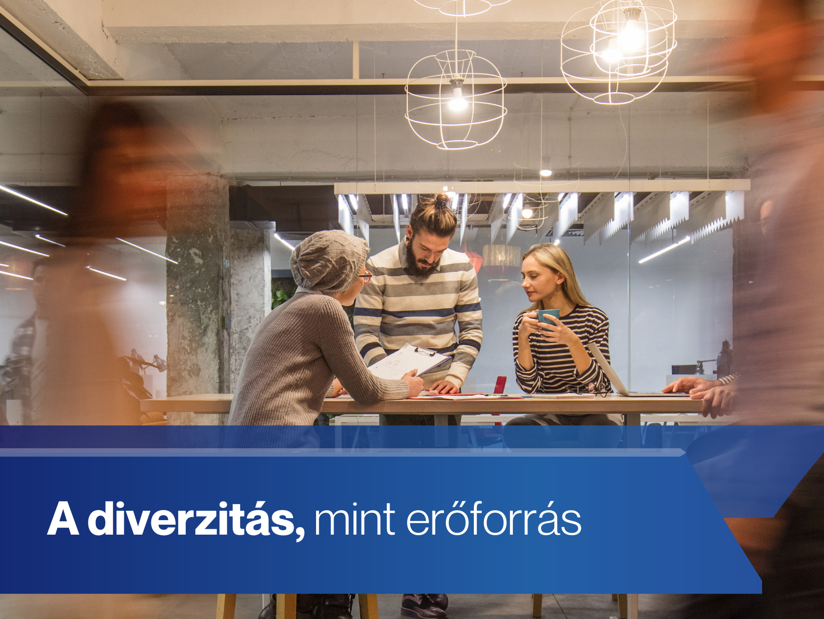 A diverzitás, mint erőforrás