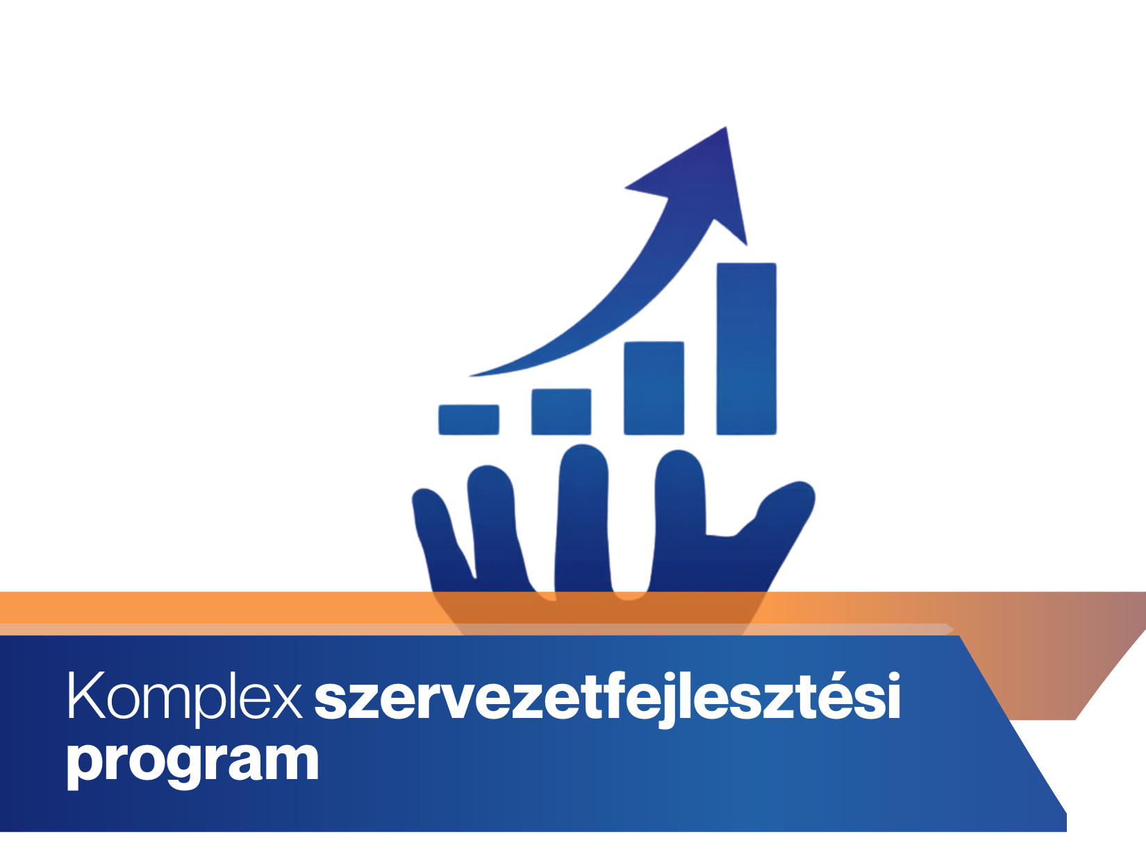 Komplex szervezetfejlesztési programok