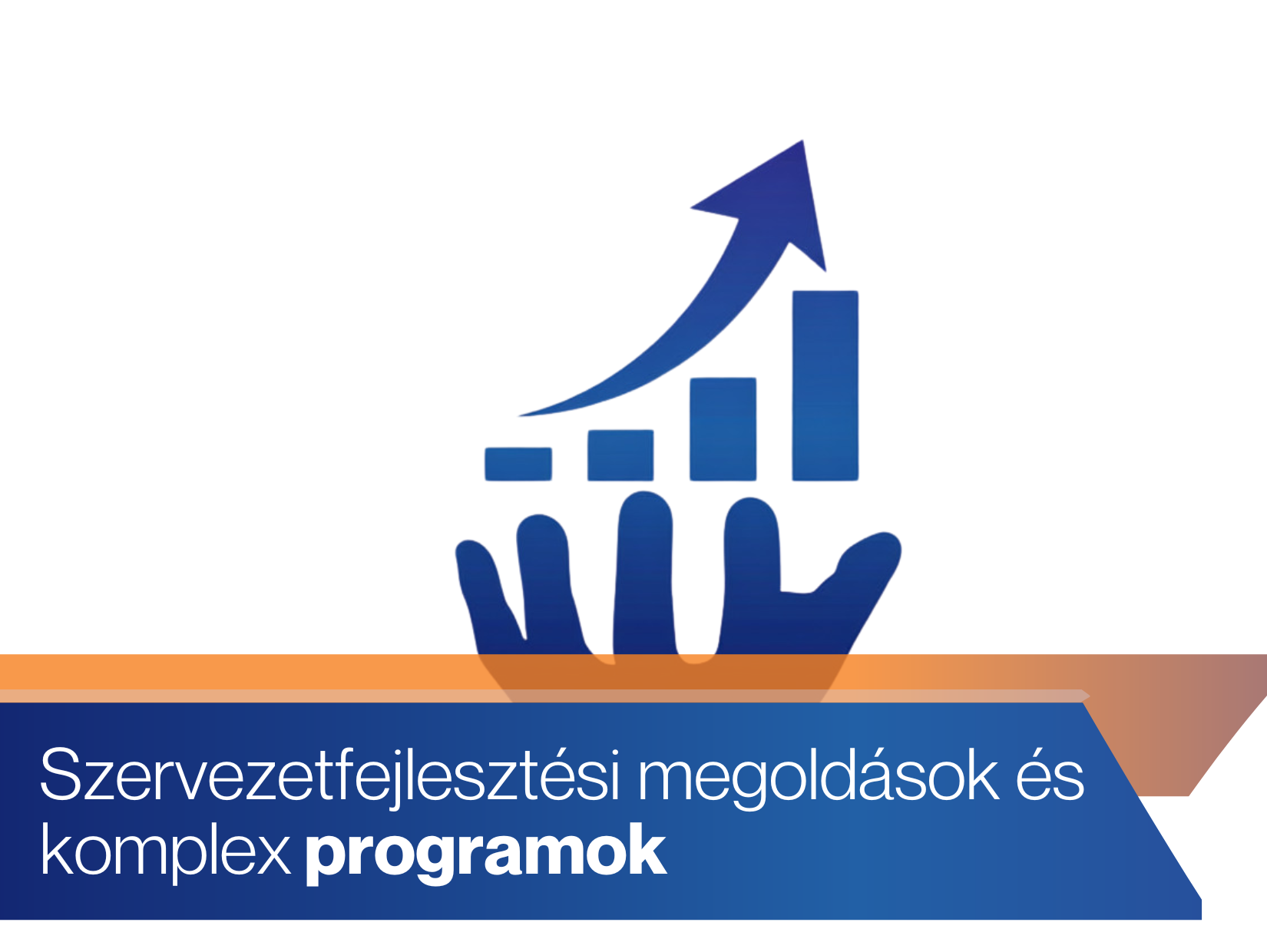 Szervezetfejlesztési megoldások és komplex programok