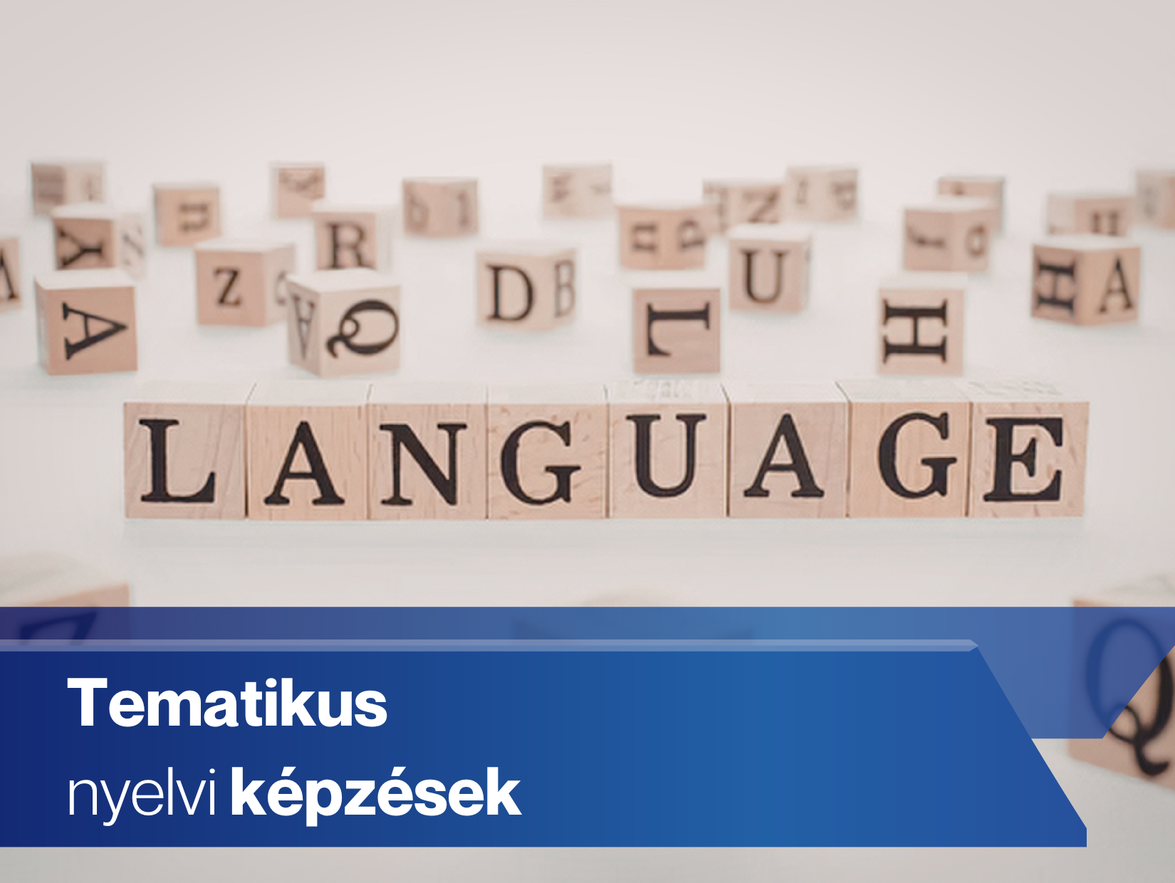 Oktatás / Tematikus nyelvi képzések