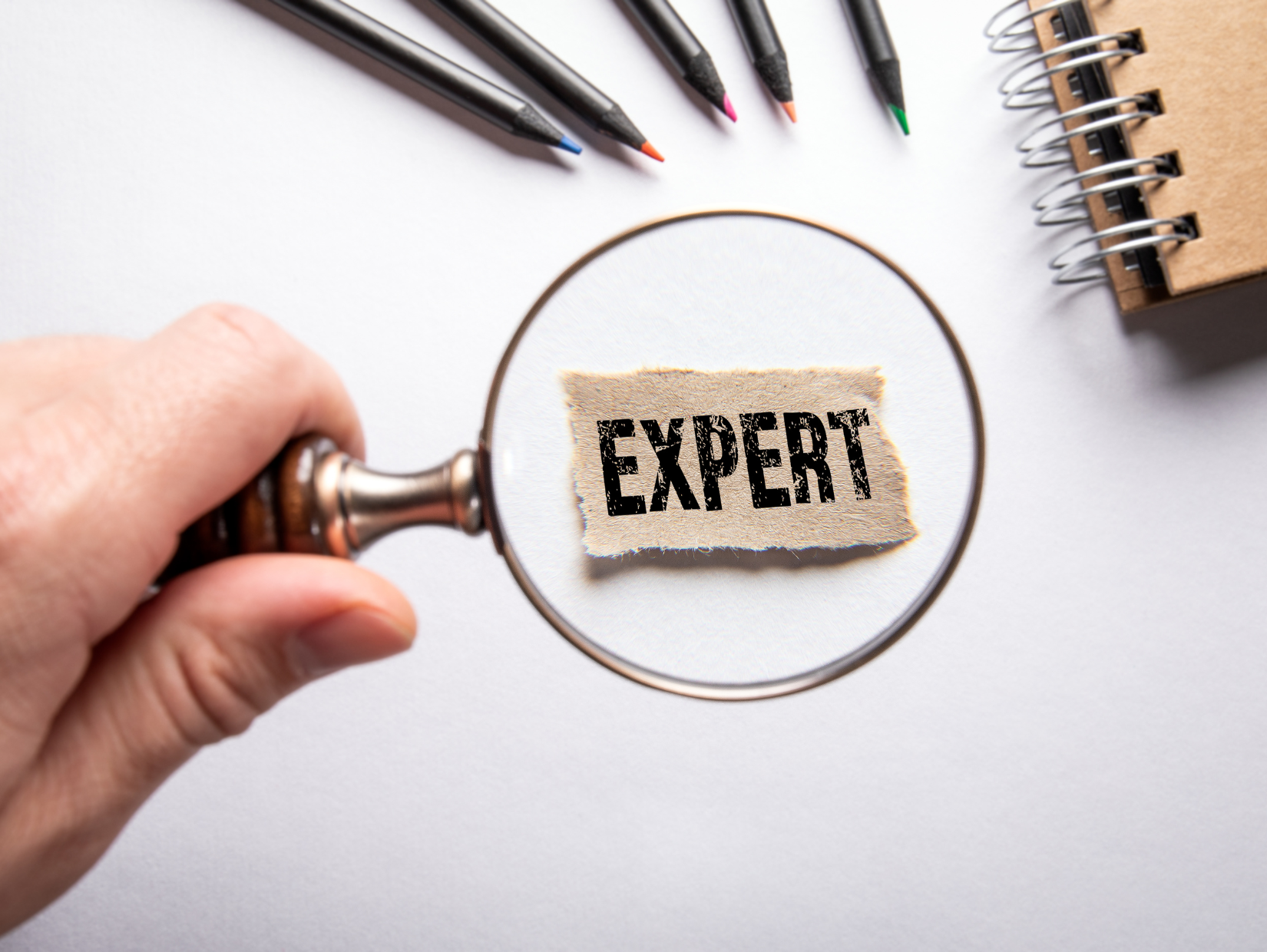 Szakértő vezető Szakértő vezető